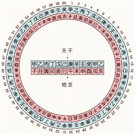 1997 天干地支|干支对照表